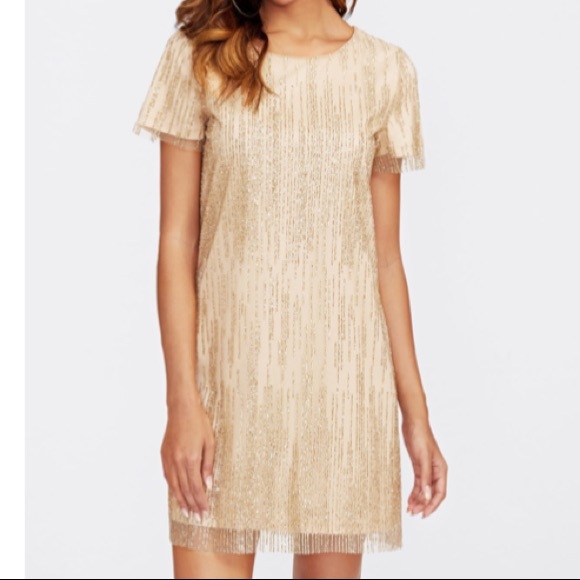 Dresses & Skirts - Medium glitter overlay mesh dress